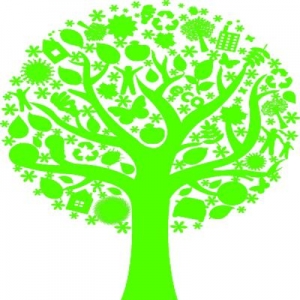 Eco Tree 2