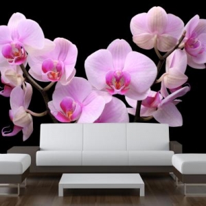 Painel orquidea rosa