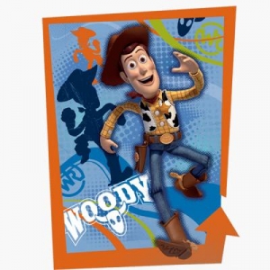 Cartaz Woody